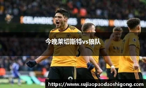 今晚莱切斯特vs狼队