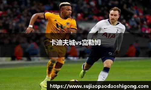 卡迪夫城vs富勒姆