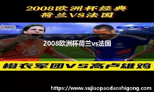 2008欧洲杯荷兰vs法国