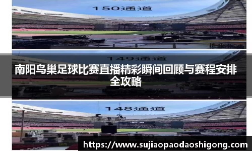 南阳鸟巢足球比赛直播精彩瞬间回顾与赛程安排全攻略
